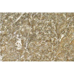 Gạch ốp tường Trường Thịnh WALL TILES G53010